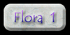 GCP Flora 1 (wildflowers etc.) gallery