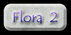 GCP Flora 2 (Wildflowers etc.) Gallery