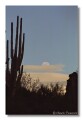 Saguaro National Monument, Tucson, Arizona