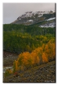 Near Dunckley Pass, Colorado
