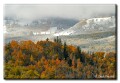 Fall Colors along the East Fork of the Williams Fork, Colorado