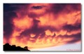 Monsoon Sunset, Globe Arizona