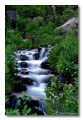 small waterfall, cameron pass colorado