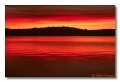 Another Roosevelt Lake shot