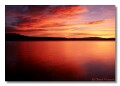 And another Roosevelt Lake shot